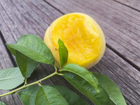 ��Ҷ�ʻ���